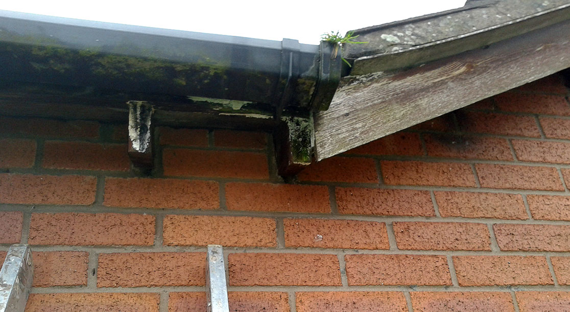 Fascias and Soffits Replacement