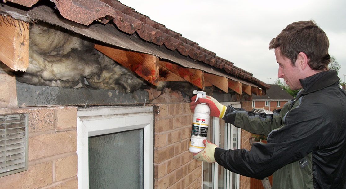 Fascias and Soffits Full Replacement